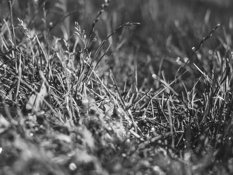 sudoku learning tool screenshot 1